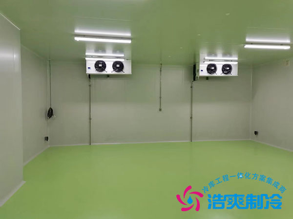 制藥廠醫藥冷庫建設