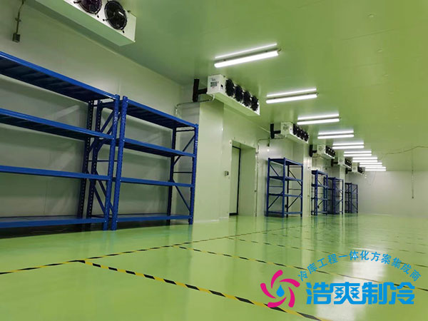 制藥廠醫藥冷庫建設