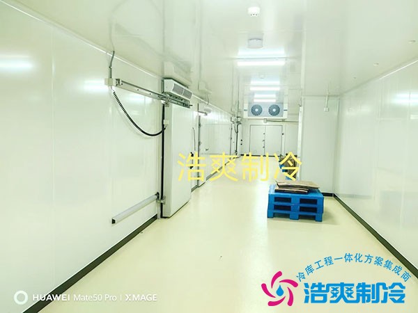 中型醫藥冷庫安裝