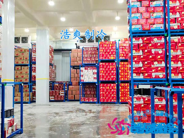 3萬噸荔枝冷庫投資成本