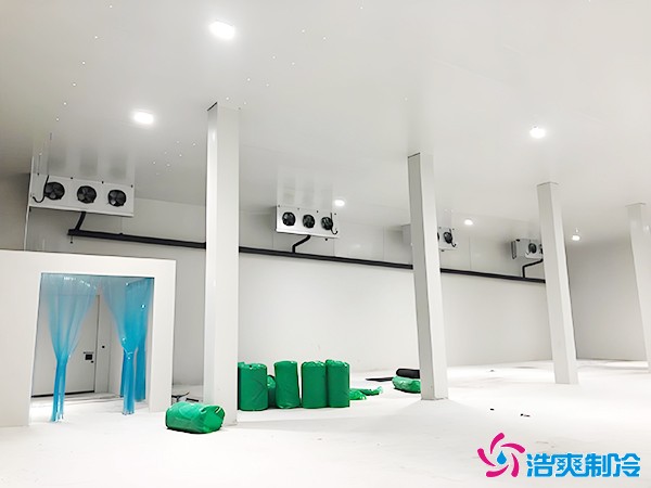 2025冷藏庫造價多少錢