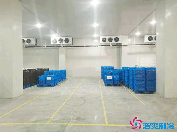 建造萬噸級大型冷庫造價大概多少錢？萬噸冷庫造價影響因素