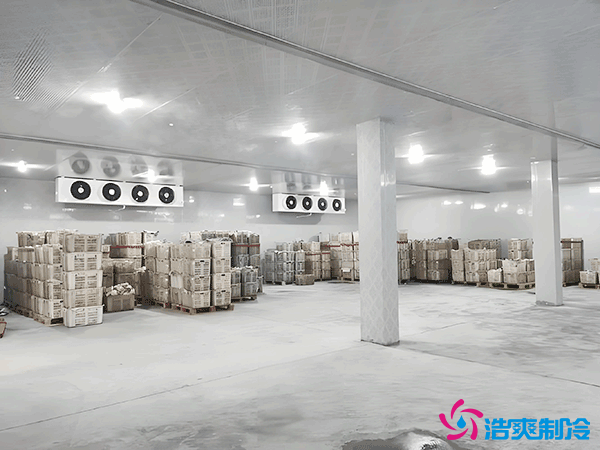 建造一個(gè)大型的冷庫(kù)安裝造價(jià)成本需要多少錢?
