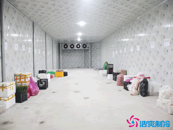 標準化冷庫建設多少錢