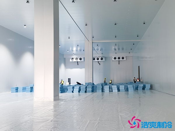 萬噸標準化冷庫建設