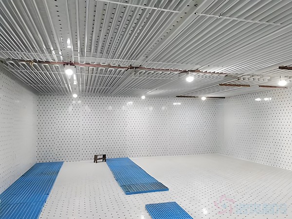 箭齒鰈魚片冷藏庫儲藏條件，箭齒鰈魚冷庫溫度要求