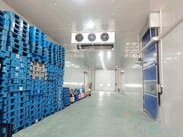 建1000平冷凍庫4米高溫度-24℃多少錢？