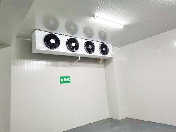 獸用生物制品冷庫(kù)面積需要建多大？造價(jià)預(yù)算多少錢