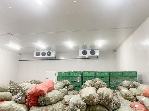 水果保鮮冷庫應用領域