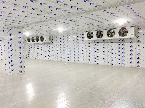 建一個冷凍庫造價需要多少錢一平方？