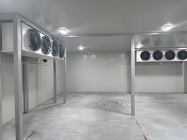 基因冷庫建設需要滿足什么標準條件