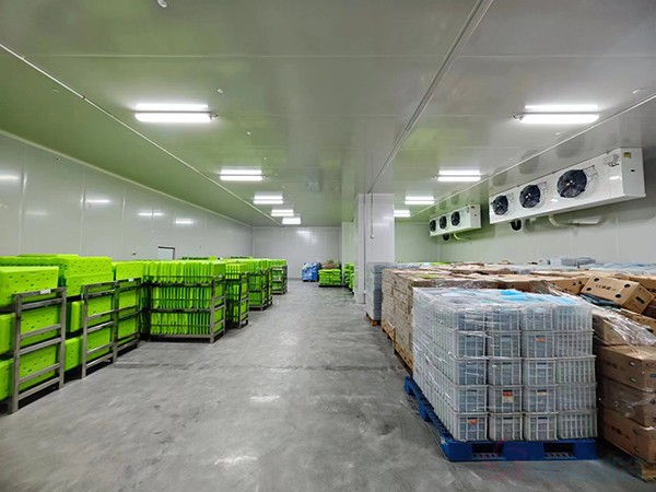 大型工業藥品冷庫建設安裝價格大概多少錢？