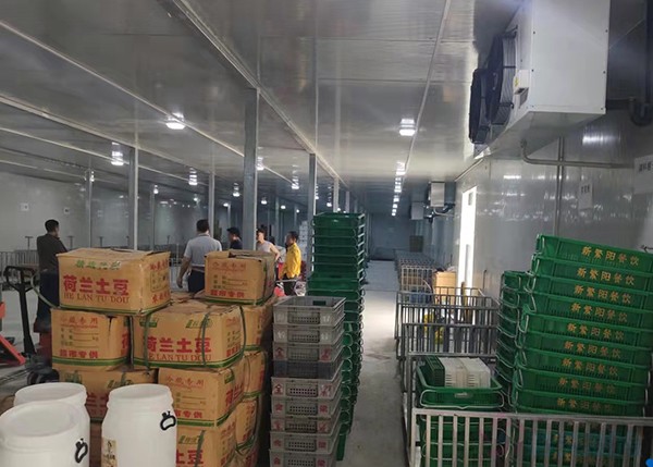 2000平米土豆冷庫竟要200多萬？揭秘氣調保鮮庫天價背后！