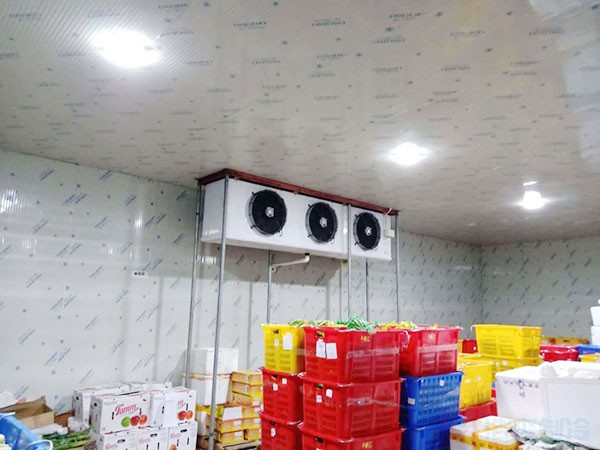 香蕉冷庫建造價格預算