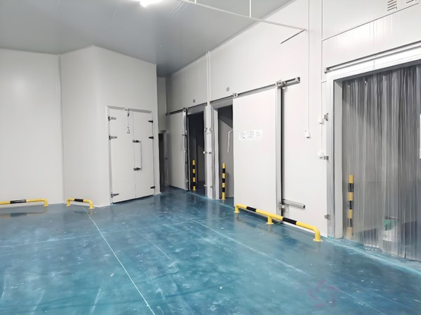 上海奶制品廠牛奶冷庫建造