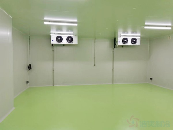 江西低溫醫(yī)藥冷庫(kù)建設(shè)