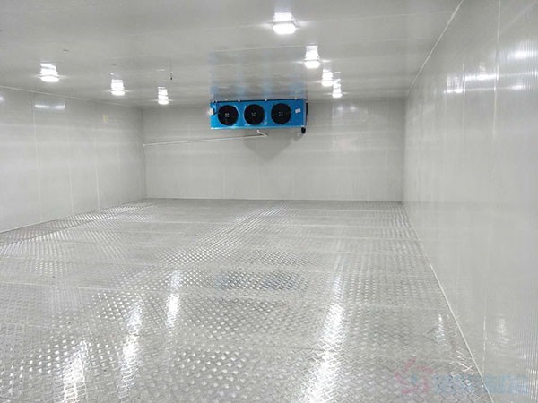 銅陵疾控自動化冷庫溫度標準