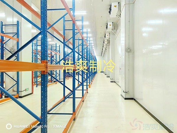 河北2-8℃醫藥標準冷庫設計多少錢？