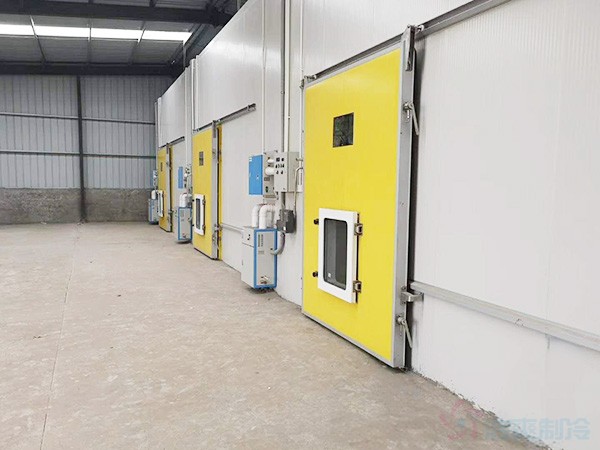 甘肅3000立方氣調果蔬冷庫建造價格