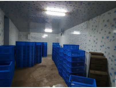 云南保山(食用菌）羊肚菌烘干房設(shè)計(jì)建造案例