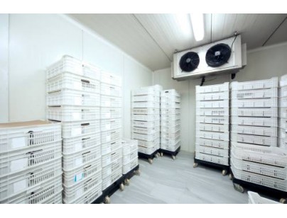 浙江仙居股份經(jīng)濟(jì)合作社羊肚菌氣調(diào)保鮮冷庫(kù)建造工程案