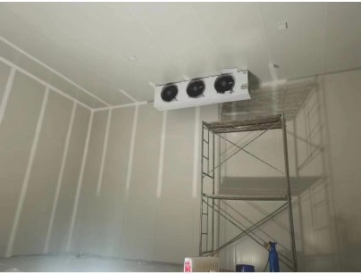 浙江仙居股份經(jīng)濟(jì)合作社羊肚菌氣調(diào)保鮮冷庫(kù)建造工程案