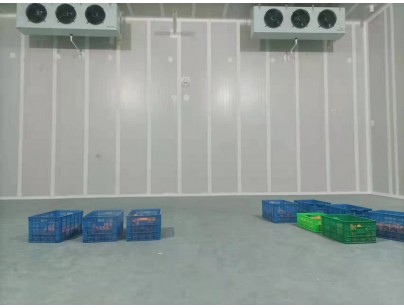 湖州練美農(nóng)業(yè)果蔬產(chǎn)地型氣調(diào)冷庫(kù)建造工程案例