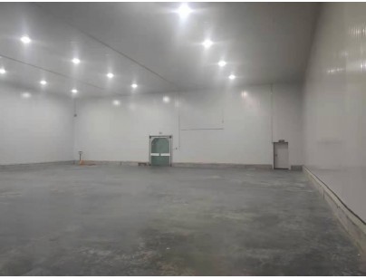 新疆伊寧78525m3保稅區冷鏈物流園大型冷庫建造工程