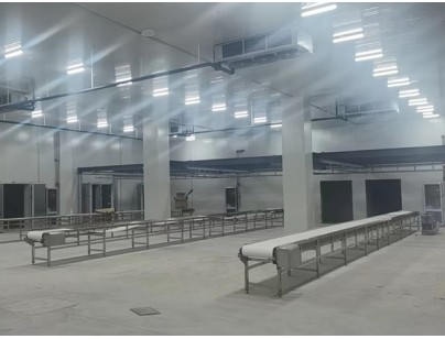 廣西大化起點(diǎn)農(nóng)牧2000m3畜禽肉類屠宰加工冷鏈中心建造冷庫工程案例