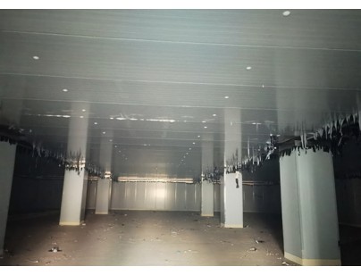 浙西南大宗物資倉配交易中心農產品深加工基地冷庫工程案例