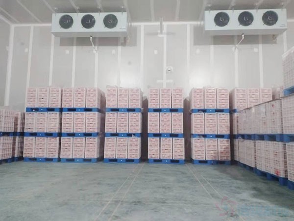 氣調(diào)保鮮庫(kù)