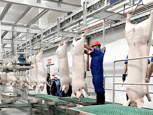 畜禽冷庫(kù)建設(shè)