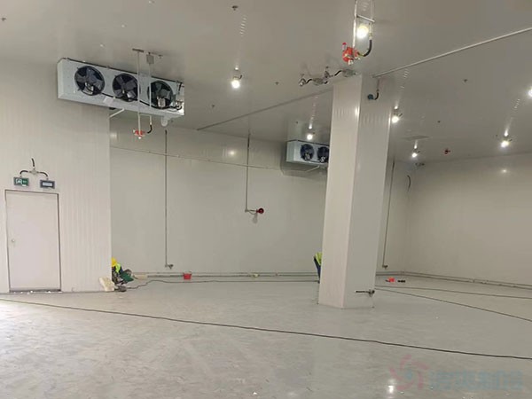 工業(yè)凍庫建設(shè)