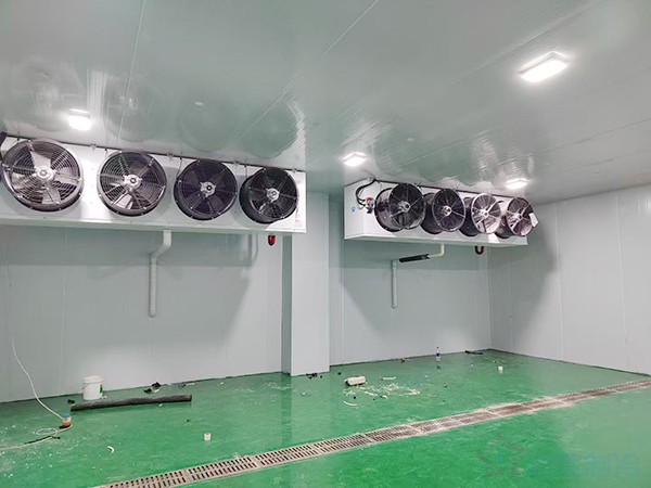 冷藏庫(kù)建造