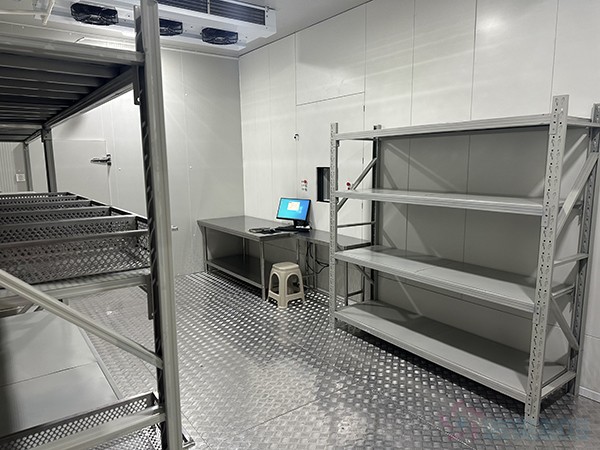 醫藥自動化冷庫設計