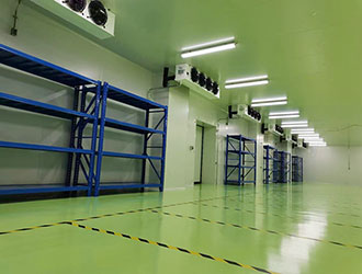 體外試劑冷庫建造｜經營企業冷凍區溫度要求與驗證要點
