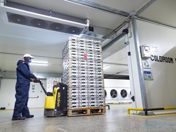 食品冷庫建設成本