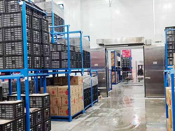 智能溫控冷庫建設