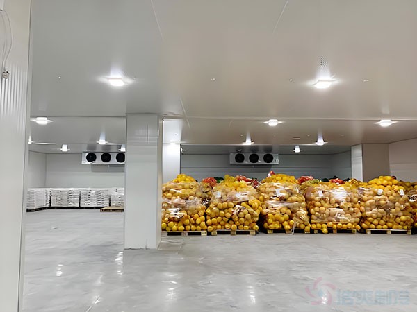 500噸冷庫建設(shè)