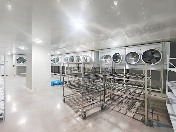 速凍冷庫建造